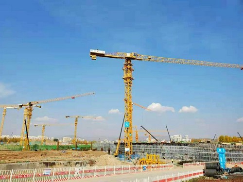 J9集团塔机助建世界屋脊最大体量会展中心